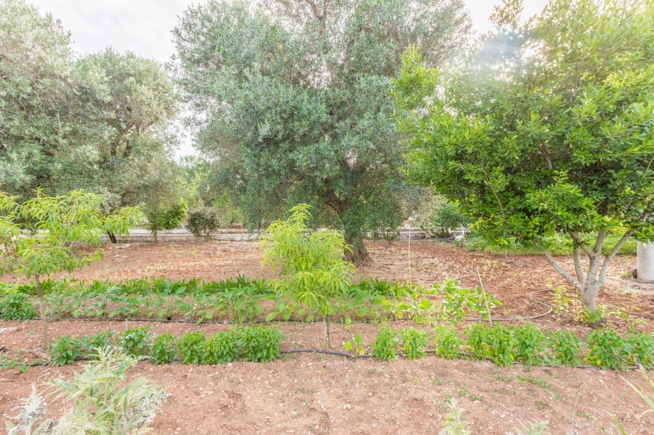 Lamia Di Nonna Mena Villa San Vito dei Normanni Exterior foto